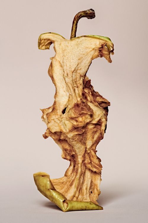 The 'Portrait of Ephemeral Decay' (Digital Masterpiece)