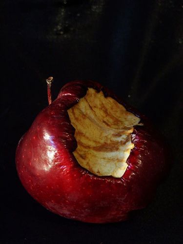 The 'Portrait of Ephemeral Decay' (Digital Masterpiece)